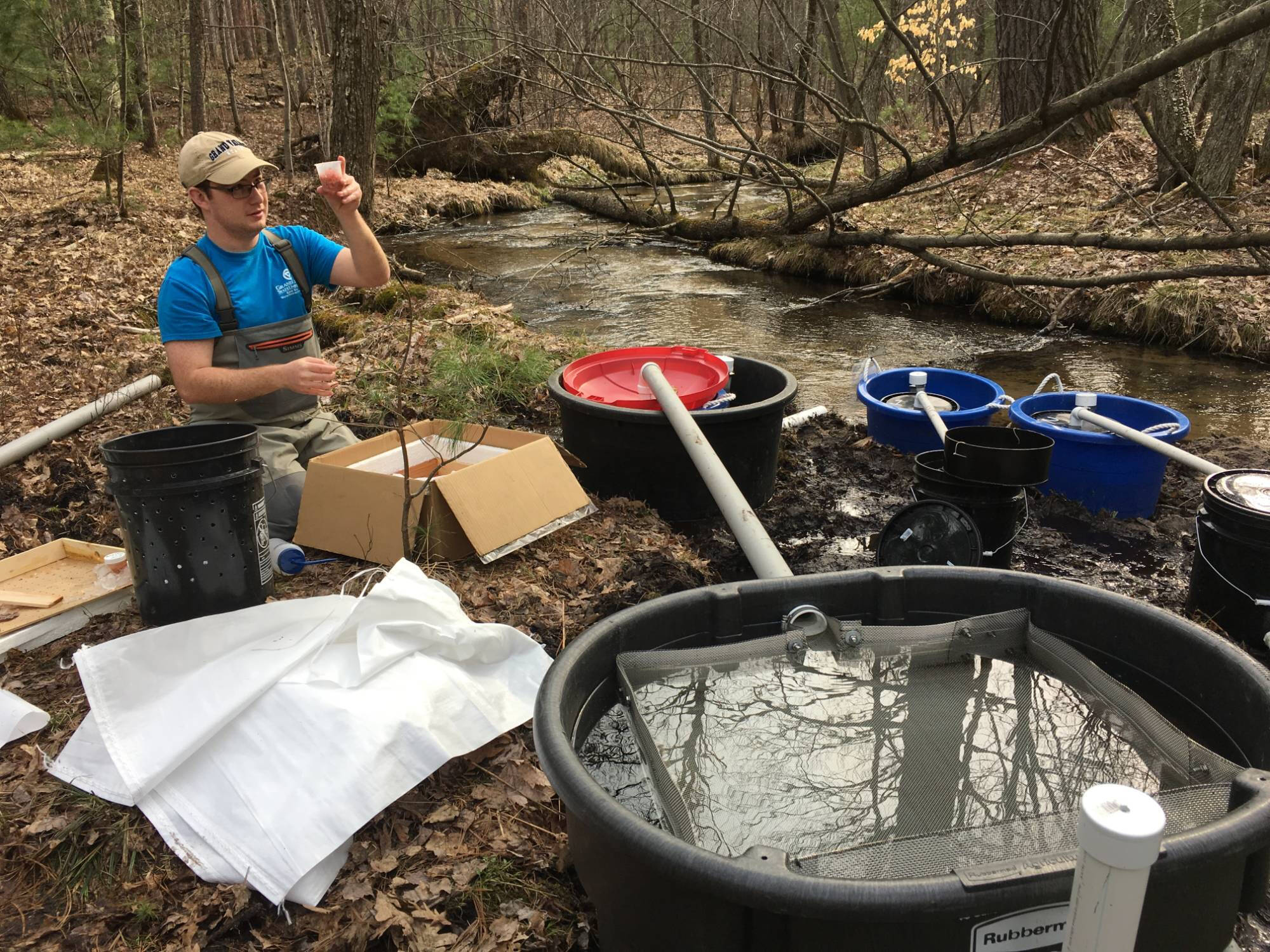 Graduate student Alan Mock examines fish eggs while kneeling by a streamside egg incubator - a series of large tubs and nets receiving water via pipes from an adjacent stream.